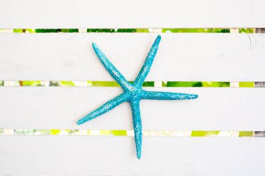 ahşap zemin üzerinde deniz yıldızı