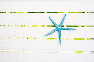 ahşap zemin üzerinde deniz yıldızı