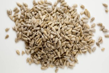 Beyaz bir arka plan üzerinde izole taze ayçiçeği tohumu