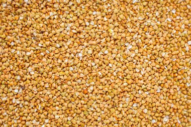 Ahşap kaşıkta pişmemiş karabuğday, beyaz arka planda birinci sınıf karabuğday inlemeleri.