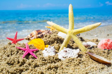 Kumlu sahil kıyısındaki deniz salları