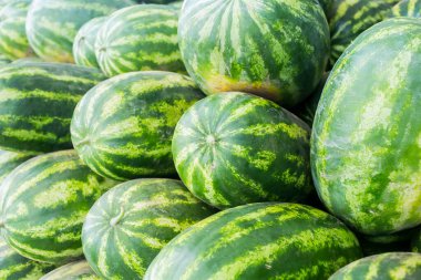 Çiftçi pazarında bir yığın karpuz.