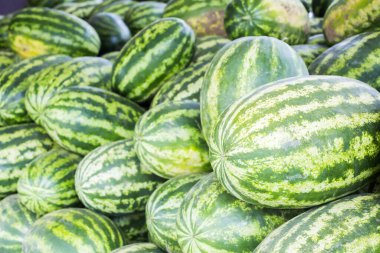 Çiftçi pazarında bir yığın karpuz.