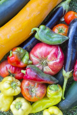 Taze organik sebzeleri kapatın.