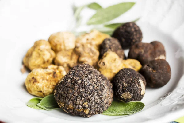 Beyaz ve siyah mantar - gurme sebze