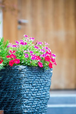 Kahverengi kapının önünde çiçek saksısı ve süsleme