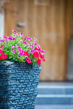 Kahverengi kapının önünde çiçek saksısı ve süsleme