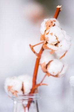 Restoranın içi boş. Modern tasarım.