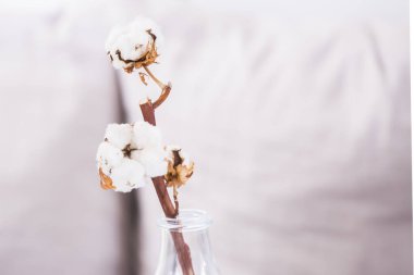 Restoranın içi boş. Modern tasarım.