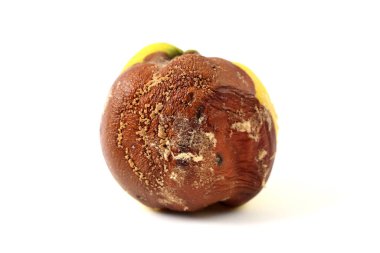 Beyaz arkaplanda çürük ayva