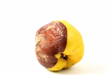 Beyaz arkaplanda çürük ayva