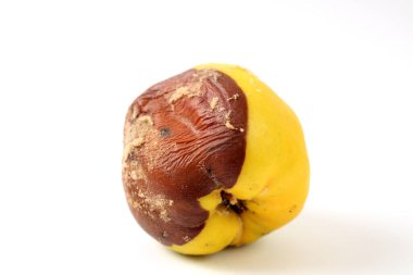 Beyaz arkaplanda çürük ayva
