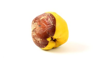 Beyaz arkaplanda çürük ayva