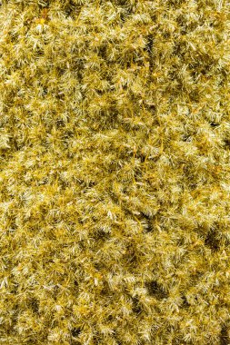 Altın parlayan parıltı dokusu soyut arkaplan 