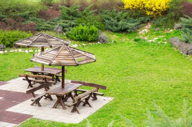 Parkta ahşap banklar şemsiye