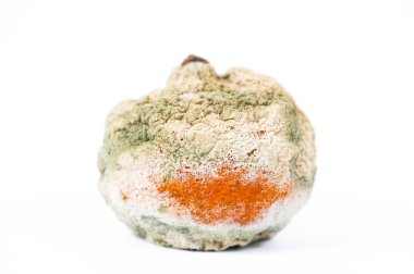 Beyaz arka planda çürük turuncu