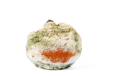 Beyaz arka planda çürük turuncu