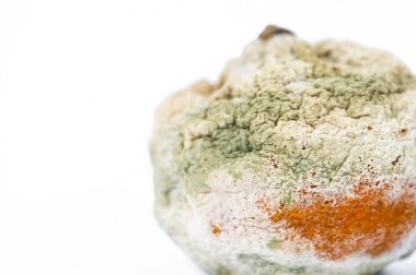 Beyaz arka planda çürük turuncu