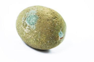 Beyaz arka planda çürük limon