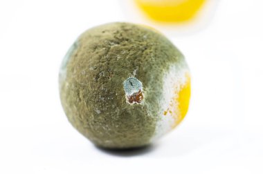 Beyaz arka planda çürük limonlar