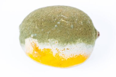 Beyaz arka planda çürük limon