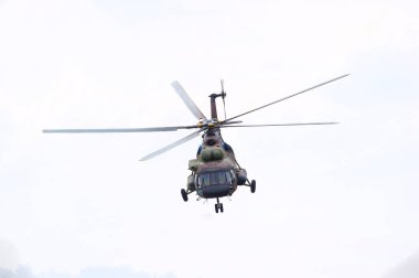 Çelik 2017 - Sırp Ordusu, Zafer Günü ve Avrupa Günü 