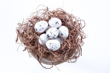 bıldırcın yumurtası beyaz zemin üzerine yuva