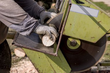 Kış için odun kesen dairesel testere.