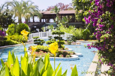 Tropik tatil beldesinde çiçekli havuz