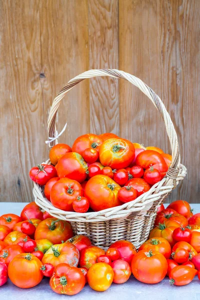 Hasır sepet içinde taze domates
