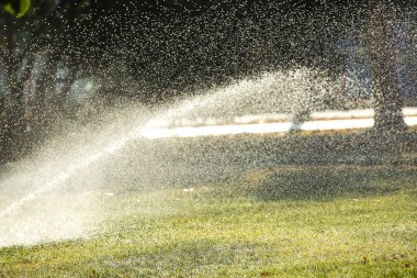 Çimenleri sulamak için sprey