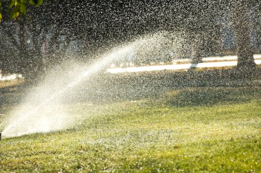 Çimenleri sulamak için sprey