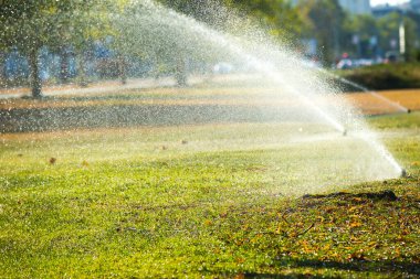 Çimenleri sulamak için sprey