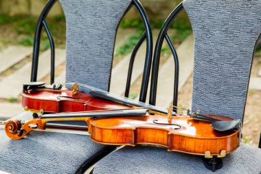 Güzel klasik kemanlar yakın çekim