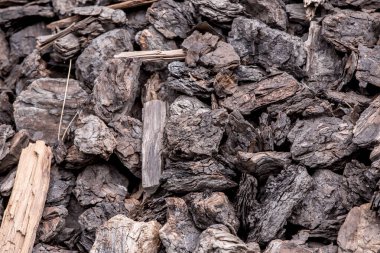 Bir madenden linyit veya kahverengi kömür parçaları