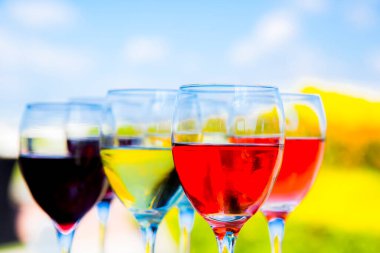 Gökyüzünde kırmızı, gül ve beyaz şarap kadehleri