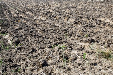 Kırsal kesimlerde sürtünmüş alan çizgileri