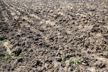 Kırsal kesimlerde sürtünmüş alan çizgileri