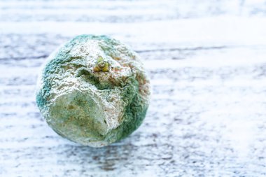 Bulanık arkaplanda çürük portakal