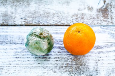 çürümüş ve taze portakallar