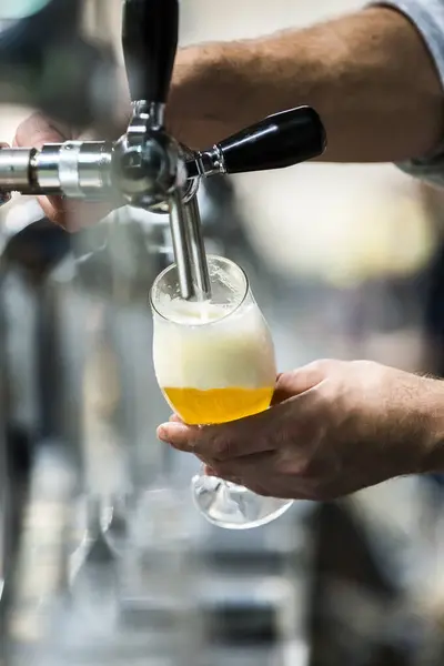 person pouring beer in a glass