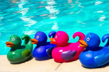 Havuzda renkli plastik ördekler