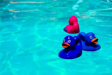 Havuzda renkli plastik ördekler