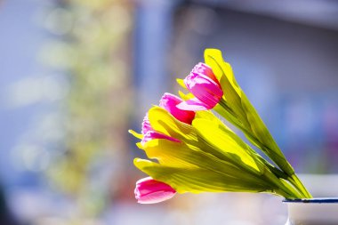 Güzel pembe lale çiçekleri buketi