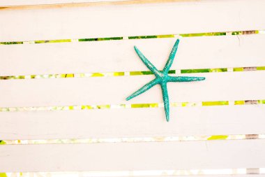Ahşap arka planda deniz yıldızı 