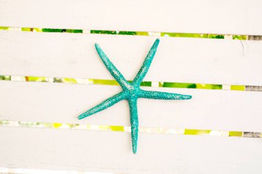 Ahşap arka planda deniz yıldızı 