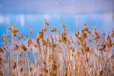 Bahar mevsiminde göl manzarası
