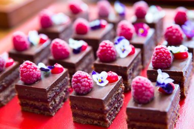 Ahududu ve yenilebilir çiçekli küçük çikolatalı kekler.  