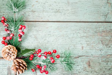 Ökseotunun Noel süslemesi, böğürtlenli, sarmaşıklı ve kozalaklı.