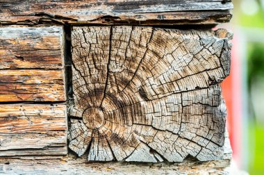 Eski ahşap arkaplan veya doku 